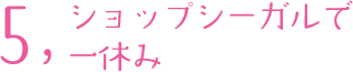 5.ショップシーガルで一休み